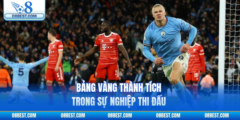 Bảng vàng thành tích trong sự nghiệp thi đấu
