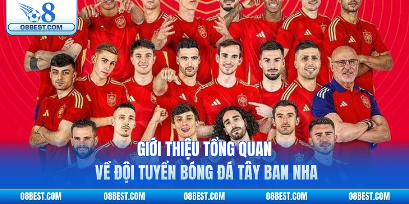 Giới thiệu tổng quan về đội tuyển bóng đá Tây Ban Nha